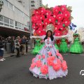 IMG_800038