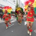 IMG_800049