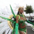 IMG_800071