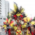 IMG_800086