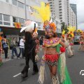 IMG_800091