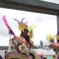 IMG_800155