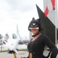 IMG_800164