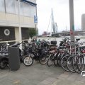 IMG_800165