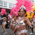 IMG_800175