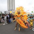 IMG_800209