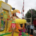 IMG_800229