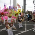 IMG_800237