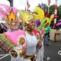 IMG_800239