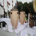 IMG_800291