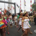 IMG_800299