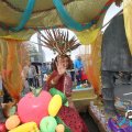 IMG_800348