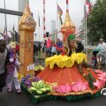 IMG_800352