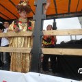 IMG_800442