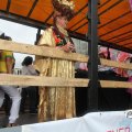 IMG_800443