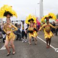 IMG_800445