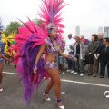 IMG_800446