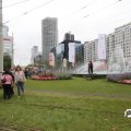 IMG_800687