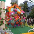 IMG_800705