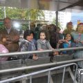 IMG_800713