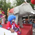 IMG_800731