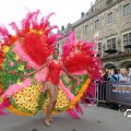 IMG_800772