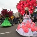 IMG_800780