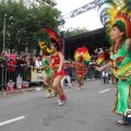 IMG_800785