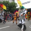 IMG_800788