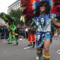 IMG_800795