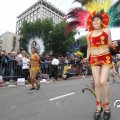 IMG_800796