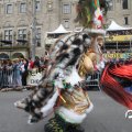 IMG_800810