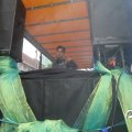 IMG_800817
