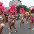 IMG_801043