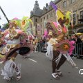 IMG_801184