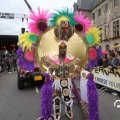 IMG_801195