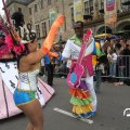 IMG_801336