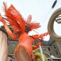 IMG_801356