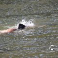 IMG_805053