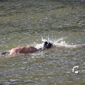 IMG_805054