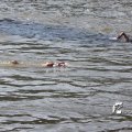 IMG_805072