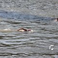 IMG_805073