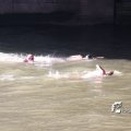 IMG_805079