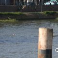 IMG_805082