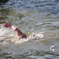 IMG_805088