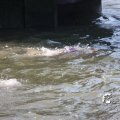 IMG_805091