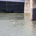 IMG_805094