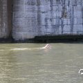 IMG_805095