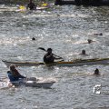 IMG_805099