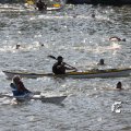 IMG_805100